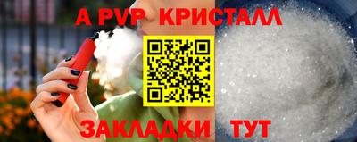 стафф Тверь