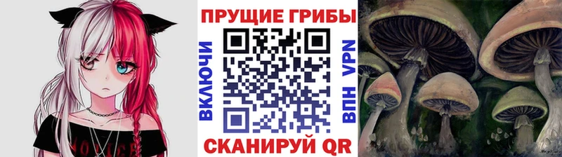 магазин продажи Оренбург Галлюциногенные грибы ЛСД