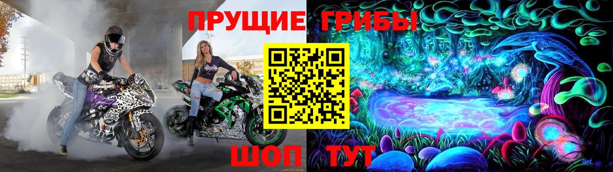 Оренбург  Галлюциногенные грибы Psilocybine cubensis  закладка  Вход с VPN 